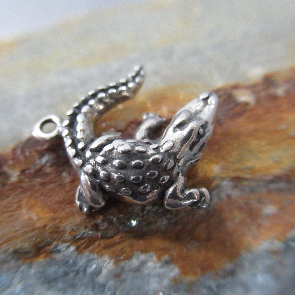 Wild Crocodile Charm, Artisan Cast Sterling Silver - Picture 1 of 6